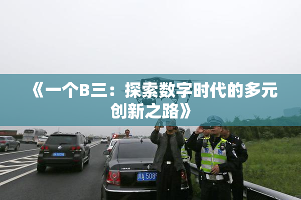 《一个B三：探索数字时代的多元创新之路》