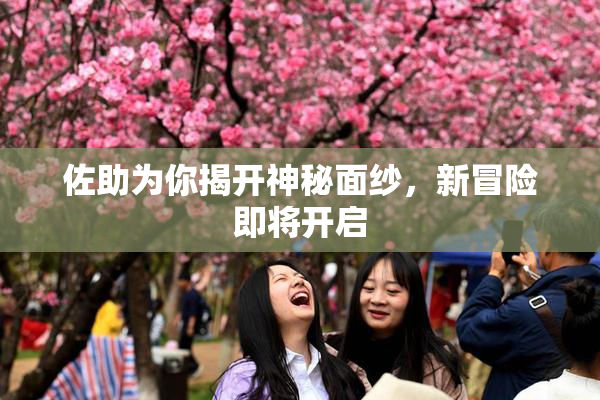 佐助为你揭开神秘面纱，新冒险即将开启
