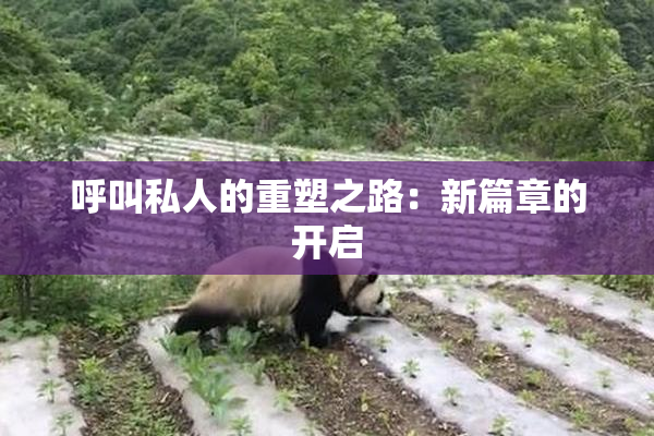 呼叫私人的重塑之路：新篇章的开启