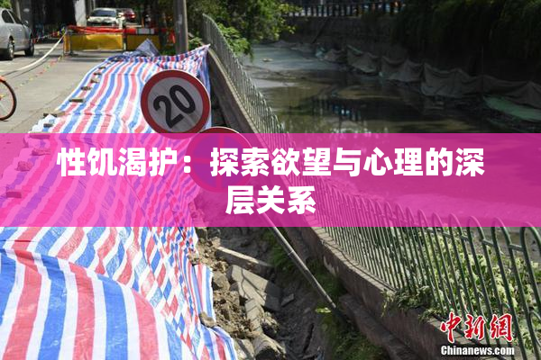 性饥渴护：探索欲望与心理的深层关系