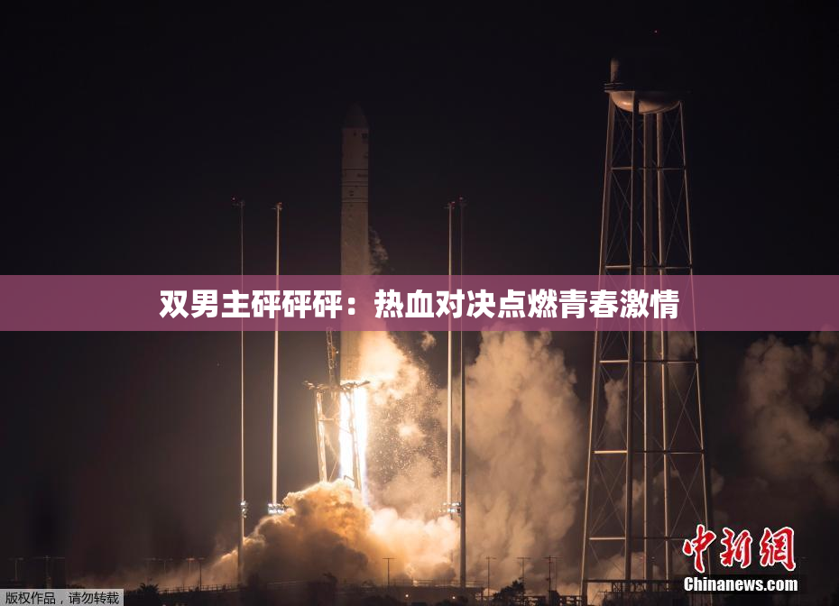 双男主砰砰砰：热血对决点燃青春激情
