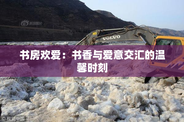 书房欢爱：书香与爱意交汇的温馨时刻