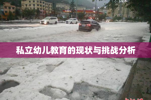 私立幼儿教育的现状与挑战分析