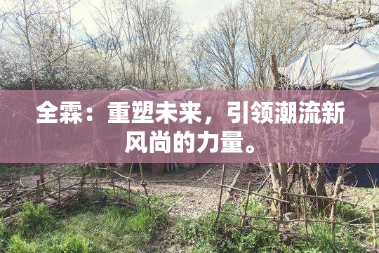 全霖：重塑未来，引领潮流新风尚的力量。