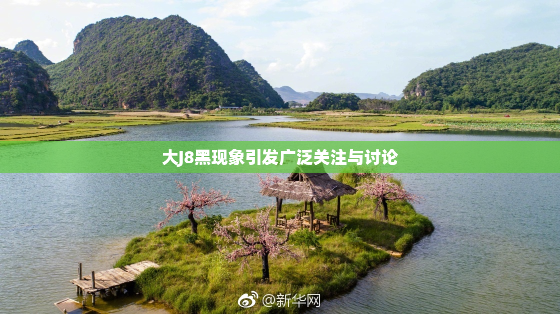 大J8黑现象引发广泛关注与讨论