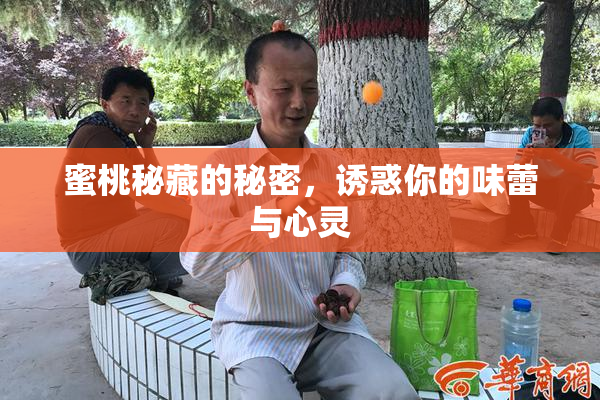 蜜桃秘藏的秘密，诱惑你的味蕾与心灵