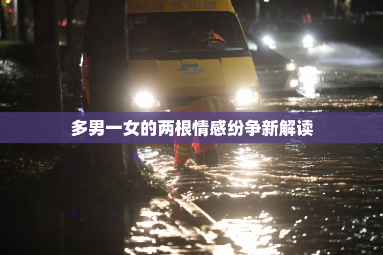多男一女的两根情感纷争新解读