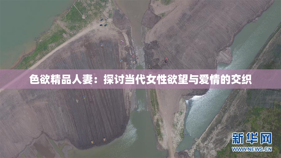 色欲精品人妻：探讨当代女性欲望与爱情的交织