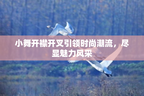 小舞开襟开叉引领时尚潮流，尽显魅力风采