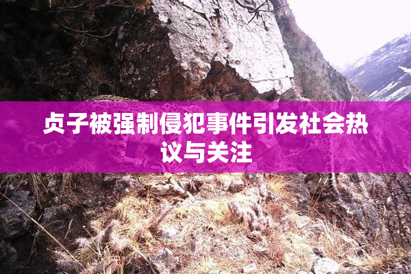 贞子被强制侵犯事件引发社会热议与关注