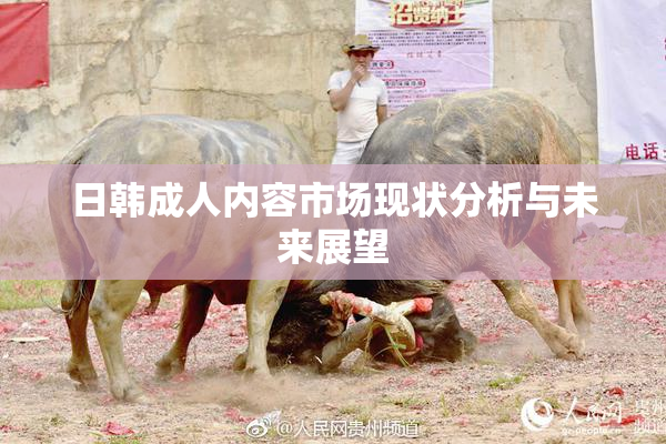 日韩成人内容市场现状分析与未来展望