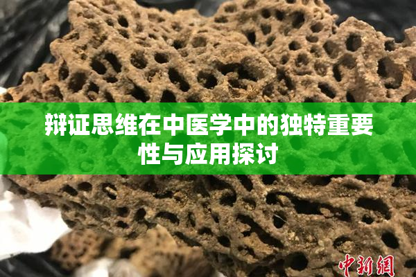 辩证思维在中医学中的独特重要性与应用探讨