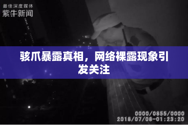 骇爪暴露真相，网络裸露现象引发关注