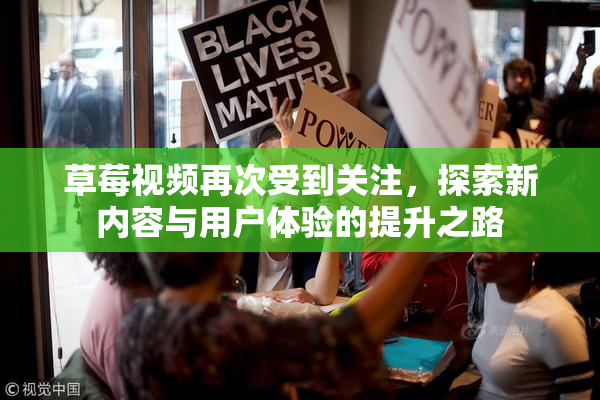 草莓视频再次受到关注，探索新内容与用户体验的提升之路