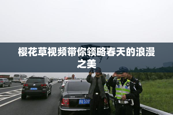 樱花草视频带你领略春天的浪漫之美