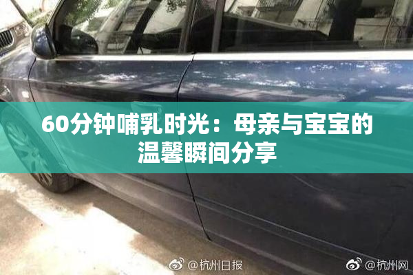 60分钟哺乳时光：母亲与宝宝的温馨瞬间分享