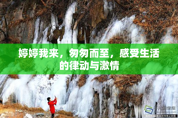 婷婷我来，匆匆而至，感受生活的律动与激情