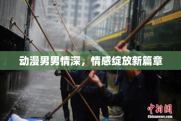动漫男男情深，情感绽放新篇章