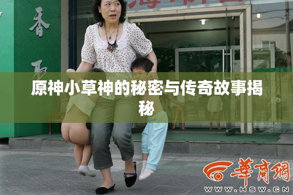 原神小草神的秘密与传奇故事揭秘