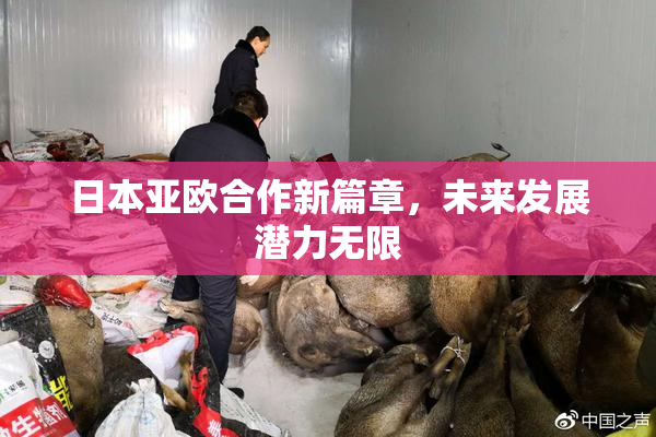 日本亚欧合作新篇章，未来发展潜力无限