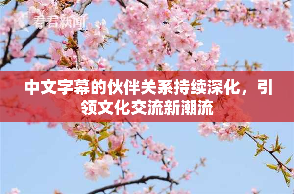 中文字幕的伙伴关系持续深化，引领文化交流新潮流