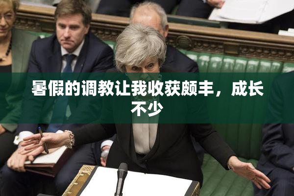 暑假的调教让我收获颇丰，成长不少