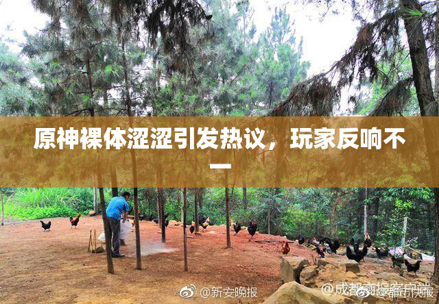 原神裸体涩涩引发热议，玩家反响不一