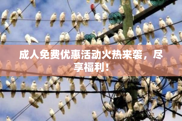 成人免费优惠活动火热来袭，尽享福利！
