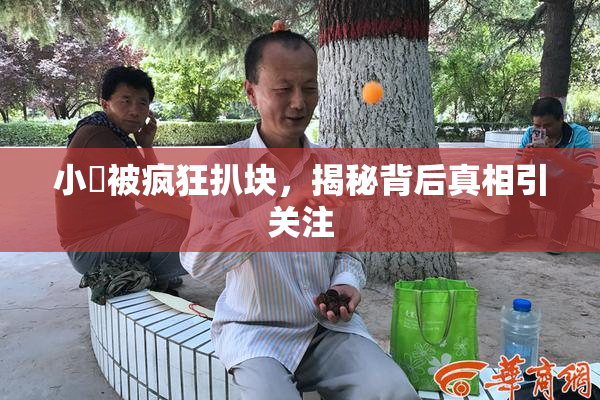 小泬被疯狂扒块，揭秘背后真相引关注