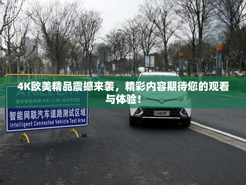 4K欧美精品震撼来袭，精彩内容期待您的观看与体验！