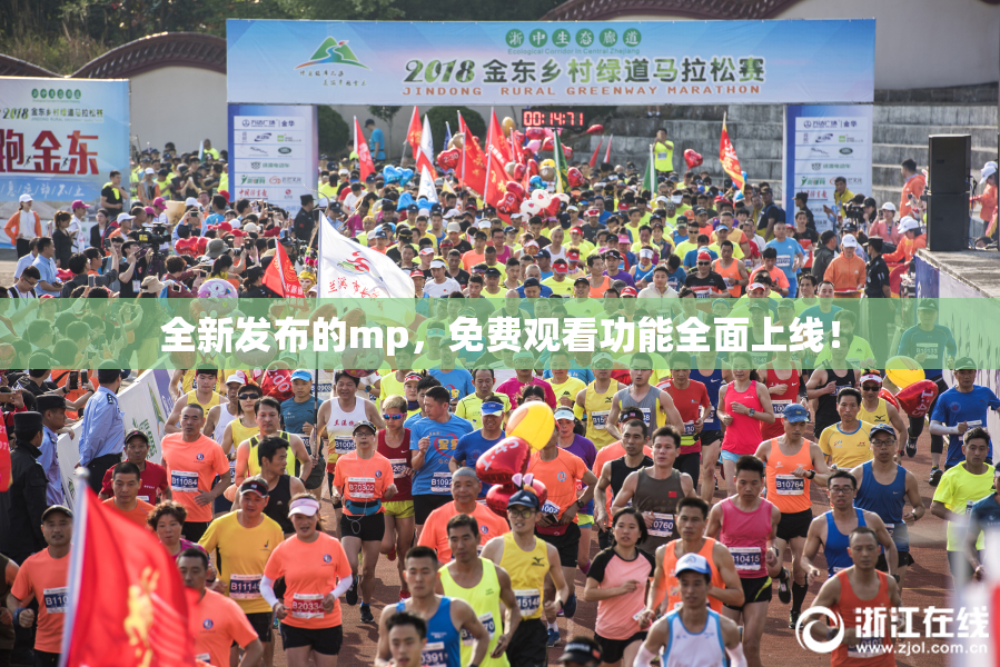 全新发布的mp，免费观看功能全面上线！