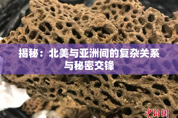 揭秘：北美与亚洲间的复杂关系与秘密交锋