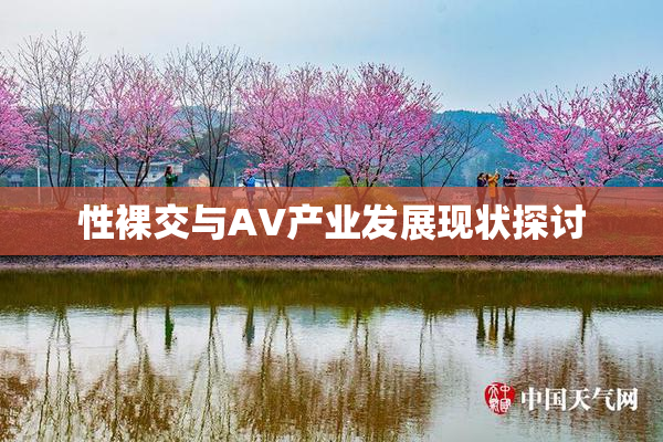 性裸交与AV产业发展现状探讨