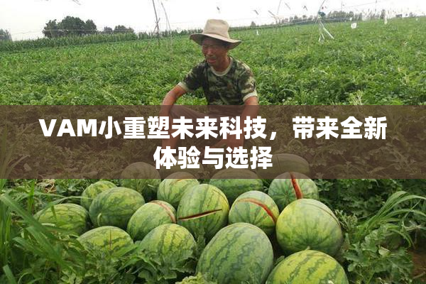 VAM小重塑未来科技，带来全新体验与选择