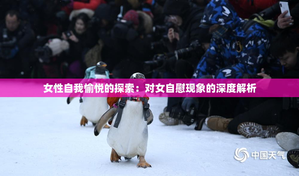 女性自我愉悦的探索：对女自慰现象的深度解析