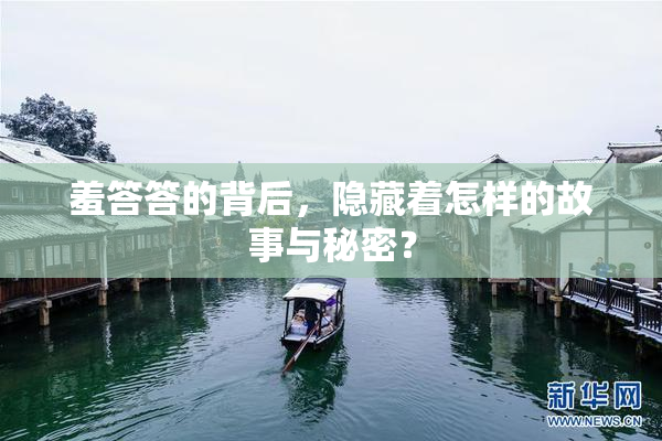 羞答答的背后，隐藏着怎样的故事与秘密？