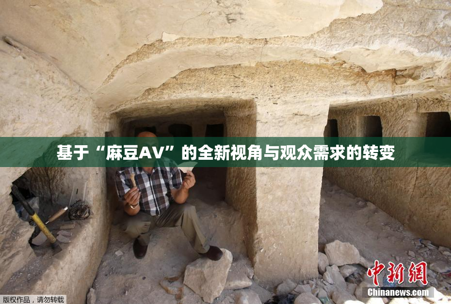基于“麻豆AV”的全新视角与观众需求的转变