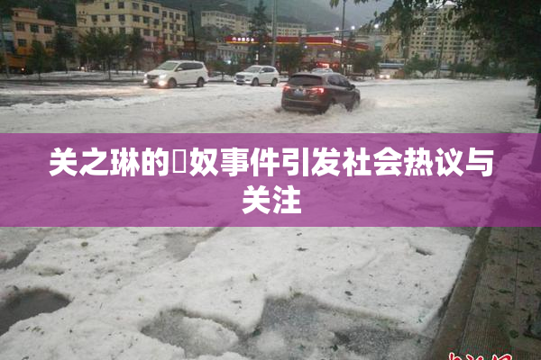 关之琳的婬奴事件引发社会热议与关注