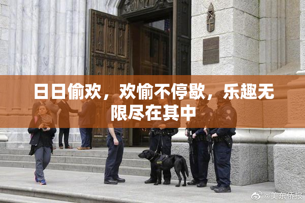 日日偷欢，欢愉不停歇，乐趣无限尽在其中