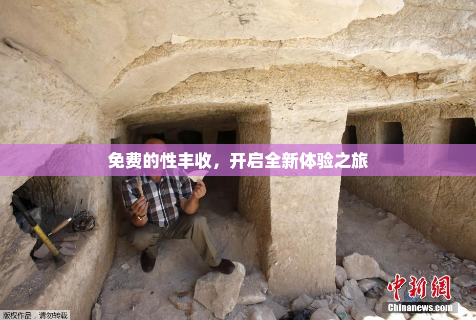 免费的性丰收，开启全新体验之旅