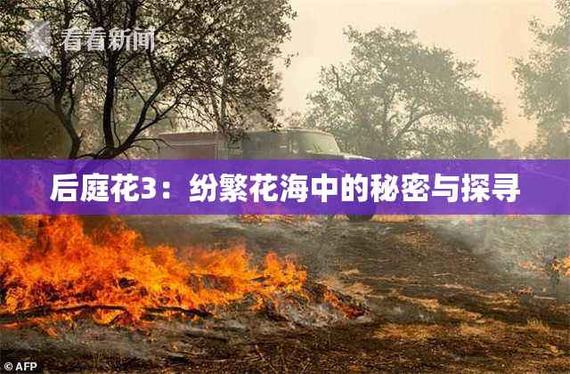 后庭花3：纷繁花海中的秘密与探寻