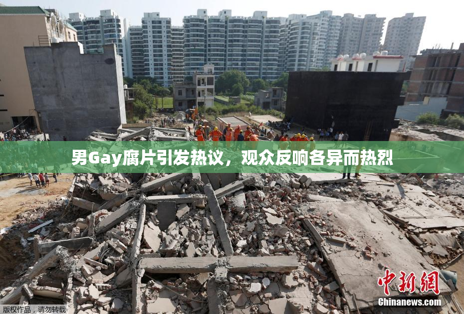 男Gay腐片引发热议，观众反响各异而热烈