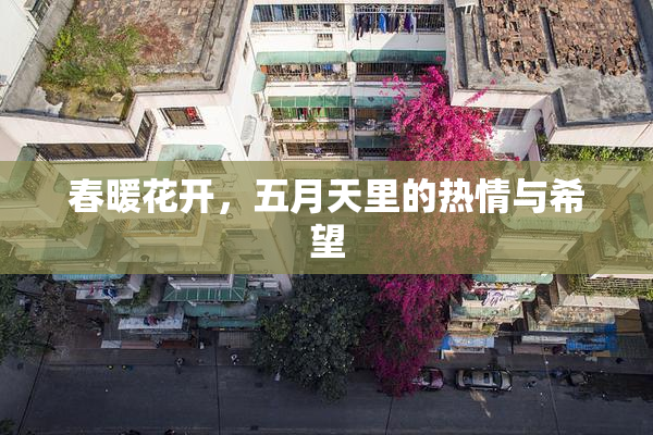 春暖花开，五月天里的热情与希望