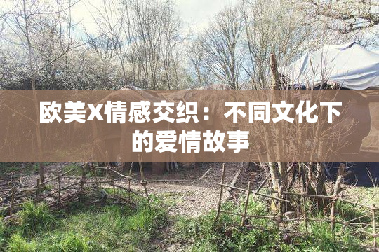 欧美X情感交织：不同文化下的爱情故事