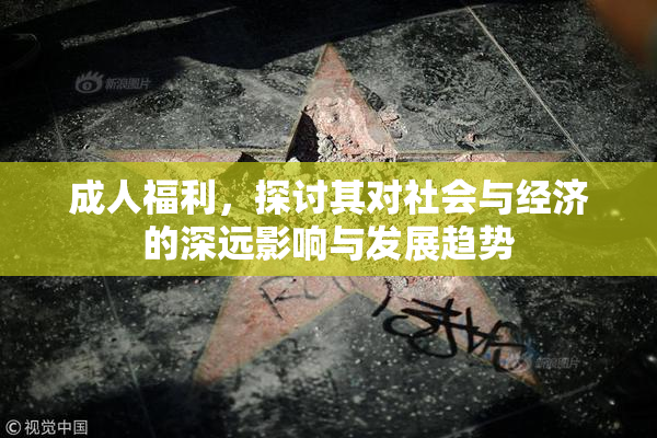 成人福利，探讨其对社会与经济的深远影响与发展趋势
