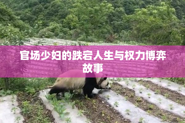 官场少妇的跌宕人生与权力博弈故事