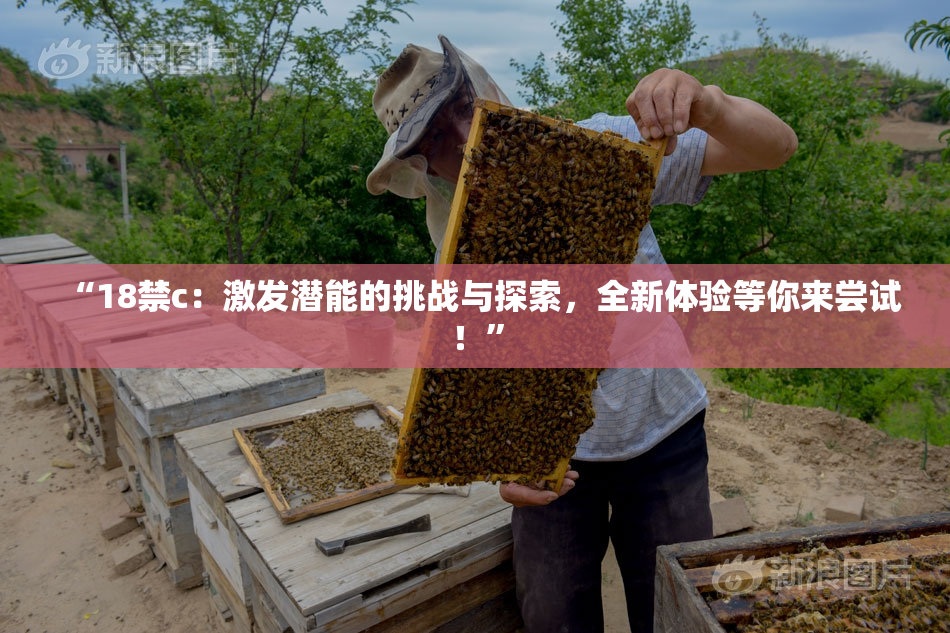 “18禁c：激发潜能的挑战与探索，全新体验等你来尝试！”