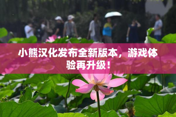 小熊汉化发布全新版本，游戏体验再升级！