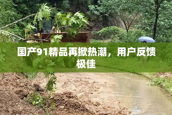 国产91精品再掀热潮，用户反馈极佳