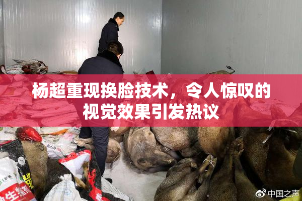 杨超重现换脸技术，令人惊叹的视觉效果引发热议